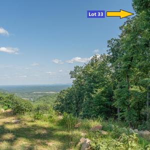 Potential view 2