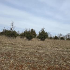 Lot 16
