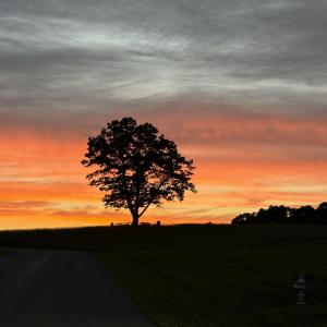 image1 (002)