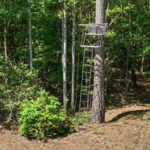 Photo #5 of DEERWOOD LN, SPOTSYLVANIA, VA 61.0 acres