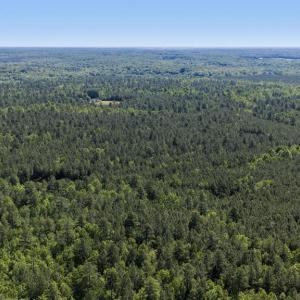 Photo #25 of DEERWOOD LN, SPOTSYLVANIA, VA 61.0 acres