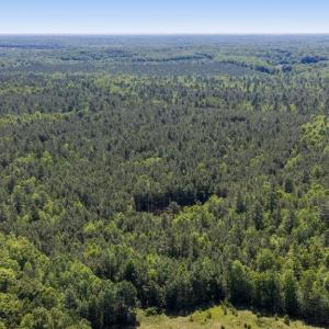 Photo #26 of DEERWOOD LN, SPOTSYLVANIA, VA 61.0 acres