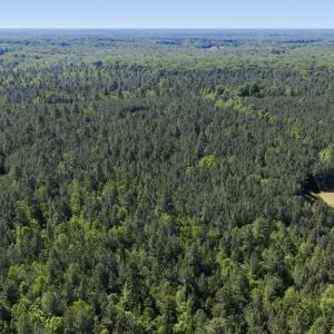 Photo #28 of DEERWOOD LN, SPOTSYLVANIA, VA 61.0 acres