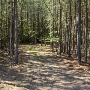 Photo #18 of DEERWOOD LN, SPOTSYLVANIA, VA 61.0 acres