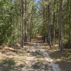 Photo #21 of DEERWOOD LN, SPOTSYLVANIA, VA 61.0 acres