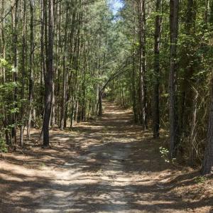 Photo #22 of DEERWOOD LN, SPOTSYLVANIA, VA 61.0 acres