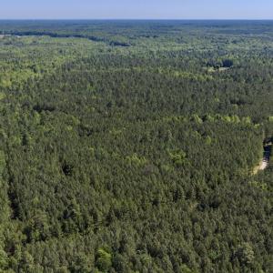 Photo #30 of DEERWOOD LN, SPOTSYLVANIA, VA 61.0 acres