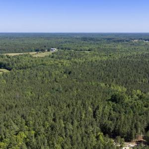 Photo #31 of DEERWOOD LN, SPOTSYLVANIA, VA 61.0 acres