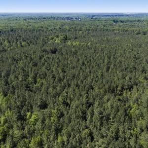 Photo #34 of DEERWOOD LN, SPOTSYLVANIA, VA 61.0 acres