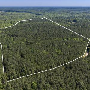 Photo #1 of DEERWOOD LN, SPOTSYLVANIA, VA 61.0 acres