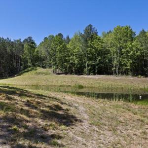 Photo #7 of DEERWOOD LN, SPOTSYLVANIA, VA 61.0 acres