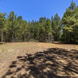 Photo #16 of DEERWOOD LN, SPOTSYLVANIA, VA 61.0 acres