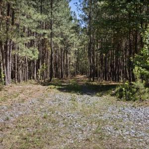 Photo #12 of DEERWOOD LN, SPOTSYLVANIA, VA 61.0 acres
