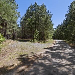 Photo #11 of DEERWOOD LN, SPOTSYLVANIA, VA 61.0 acres