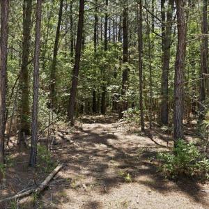 Photo #23 of DEERWOOD LN, SPOTSYLVANIA, VA 61.0 acres