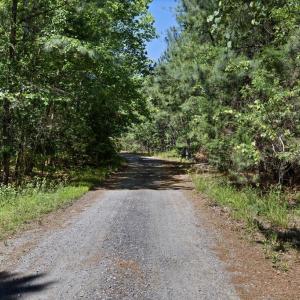 Photo #10 of DEERWOOD LN, SPOTSYLVANIA, VA 61.0 acres