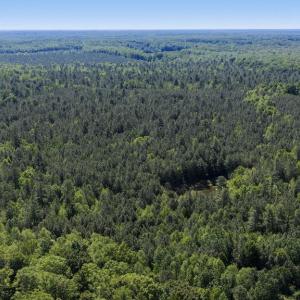 Photo #36 of DEERWOOD LN, SPOTSYLVANIA, VA 61.0 acres