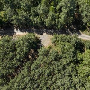 Photo #9 of DEERWOOD LN, SPOTSYLVANIA, VA 61.0 acres