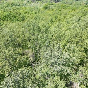 10-00 Snow Creek Rd-10