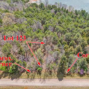 aerial showing path from road2
