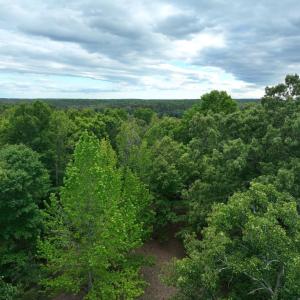 Photo #25 of RIVANNA RDG, TROY, VA 25.5 acres