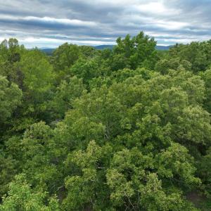 Photo #2 of RIVANNA RDG, TROY, VA 25.5 acres