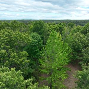 Photo #3 of RIVANNA RDG, TROY, VA 25.5 acres