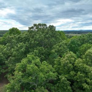 Photo #26 of RIVANNA RDG, TROY, VA 25.5 acres