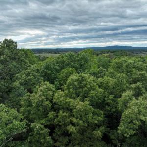 Photo #27 of RIVANNA RDG, TROY, VA 25.5 acres