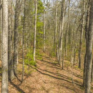 DJI_20260418152635_0484_D