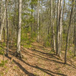 DJI_20260418152700_0486_D