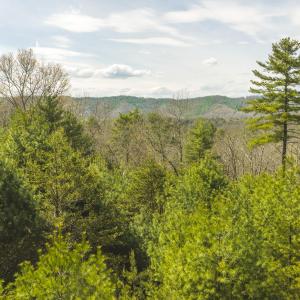 DJI_20260418153930_0491_D