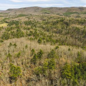 DJI_20260418154010_0493_D