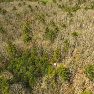 DJI_20260418154148_0497_D