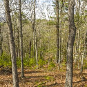 DJI_20260418154907_0500_D