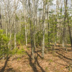 DJI_20260418154917_0501_D