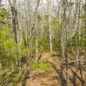 DJI_20260418155002_0503_D