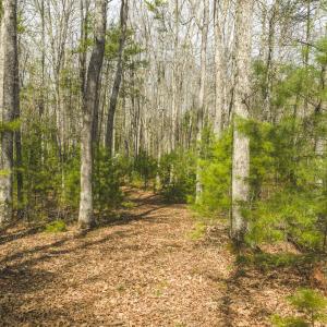 DJI_20260418155240_0505_D