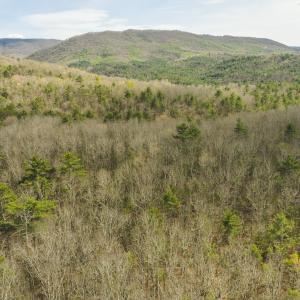 DJI_20260418160140_0508_D