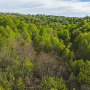 DJI_20260421170848_0600_D