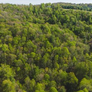 DJI_20260421170914_0601_D