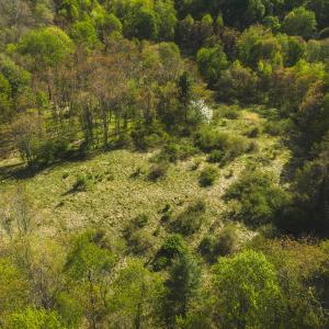 DJI_20260421171025_0604_D
