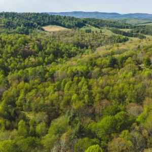 DJI_20260421171103_0606_D