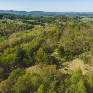 DJI_20260421171146_0608_D