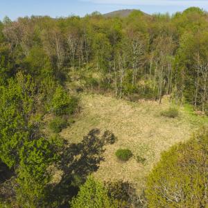 DJI_20260421171303_0611_D