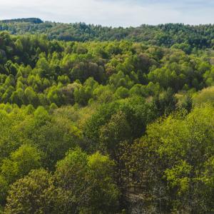 DJI_20260421171309_0612_D