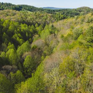 DJI_20260421171326_0613_D