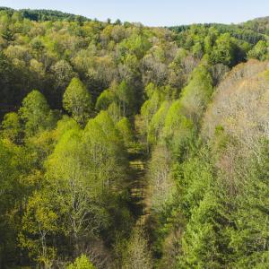 DJI_20260421171402_0615_D