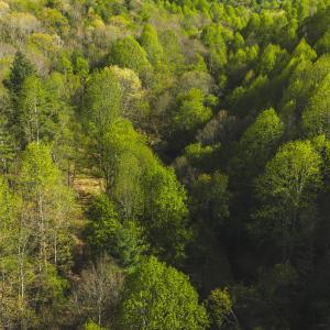 DJI_20260421171436_0617_D