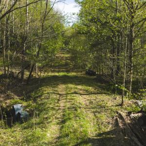 DJI_20260421173854_0630_D